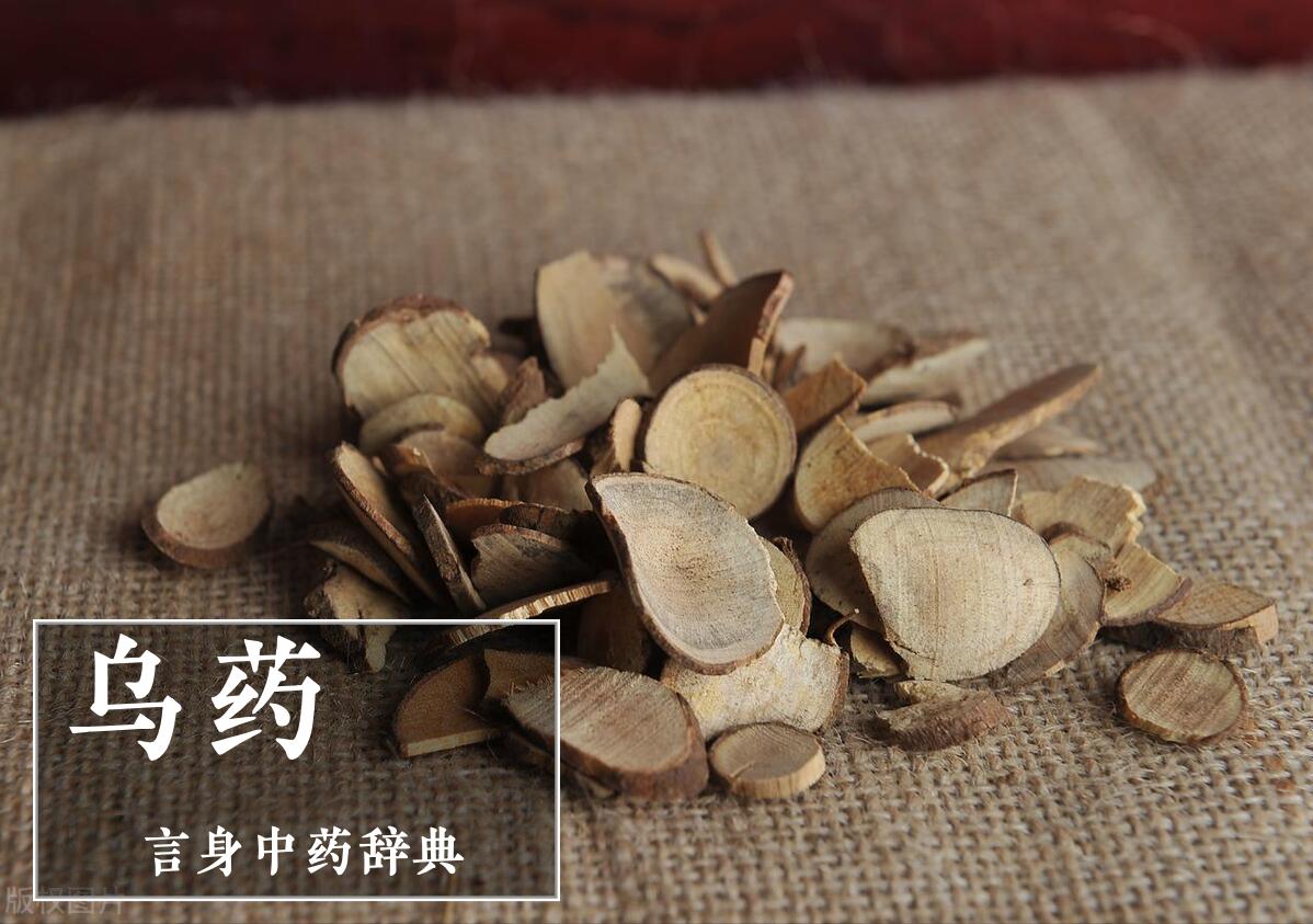 天台乌药散能疏肝理气吗,乌药有什么药效