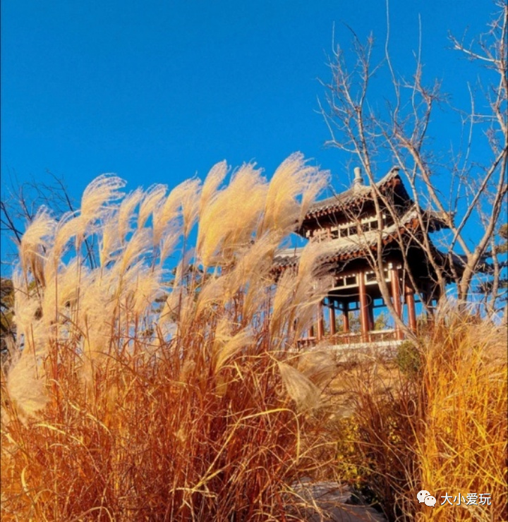 可以遛娃的公园,适合遛娃旅游的公园