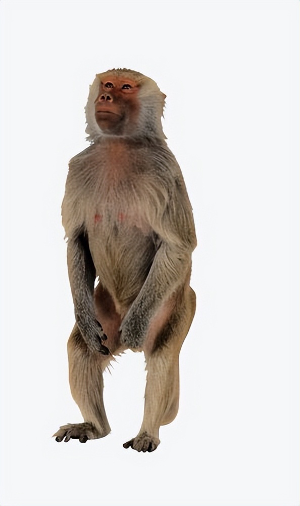 科学家奇葩研究都有啥,科学家有意思的实验