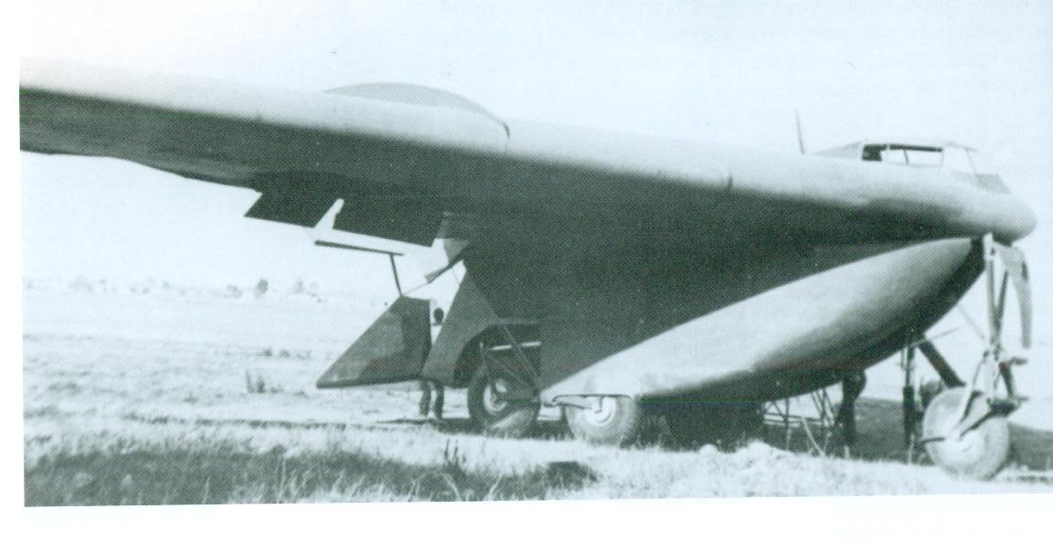 有趣的飞行器18-运水果的科幻大飞翼