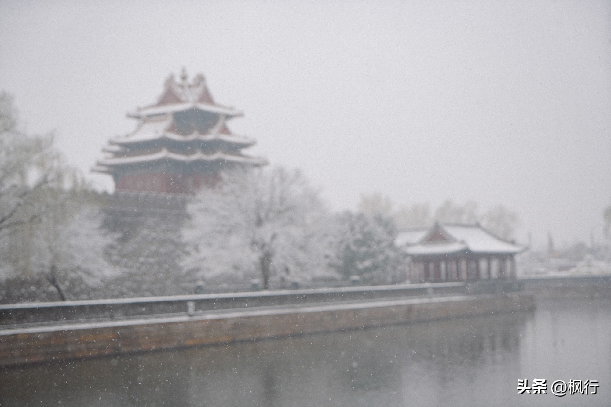 故宫开启雪景模式北京迎今冬初雪,北京下雪去哪里看故宫最好看