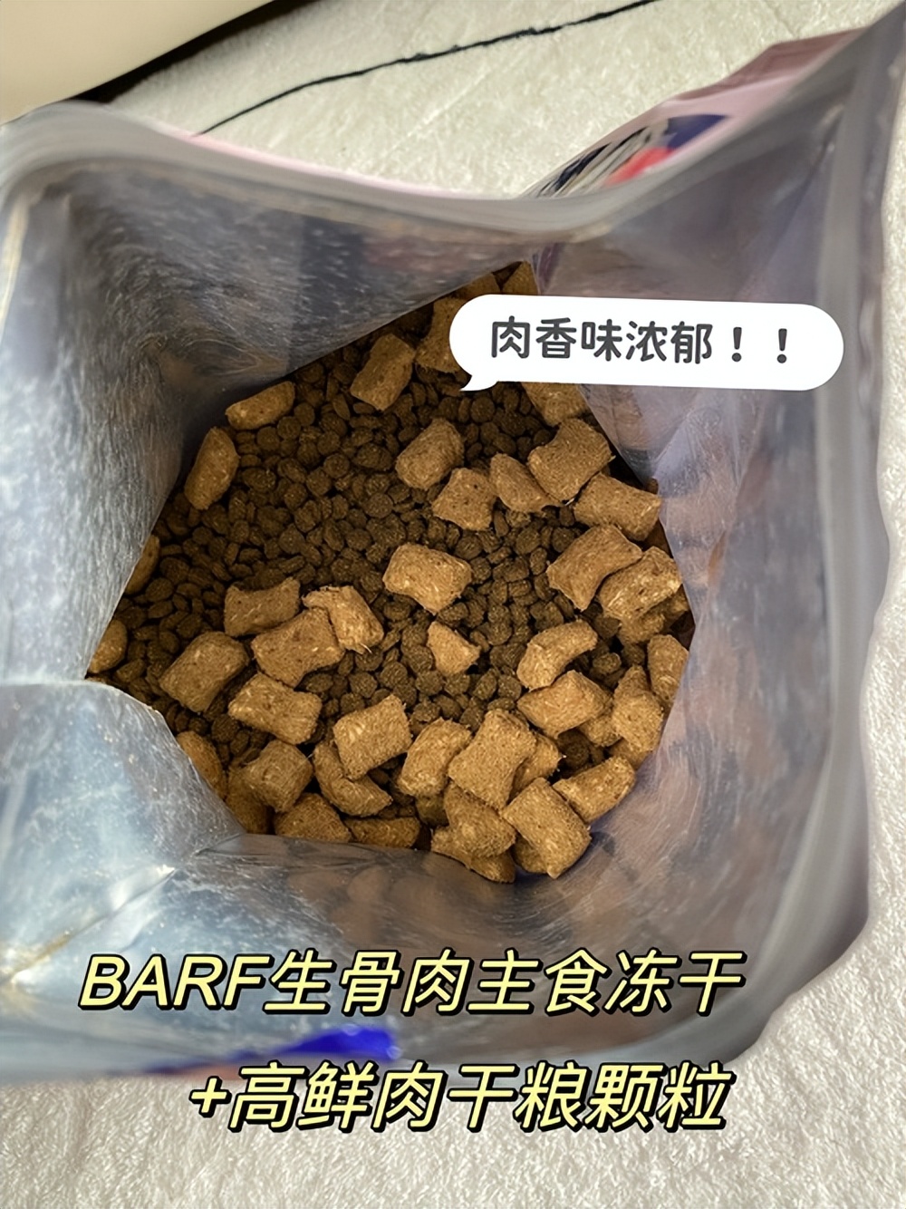小猫不喝药怎么喂,未满月的小猫怎么喂羊奶粉