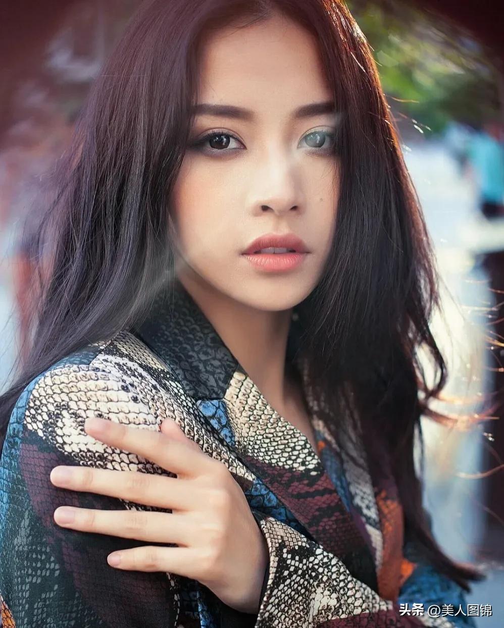 越南芝芙,芝芙越南