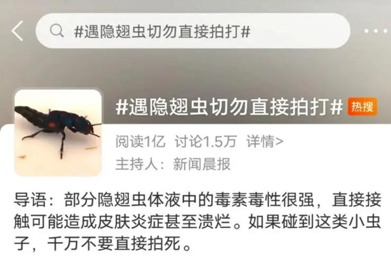 不咬人的虫子,不咬人的昆虫