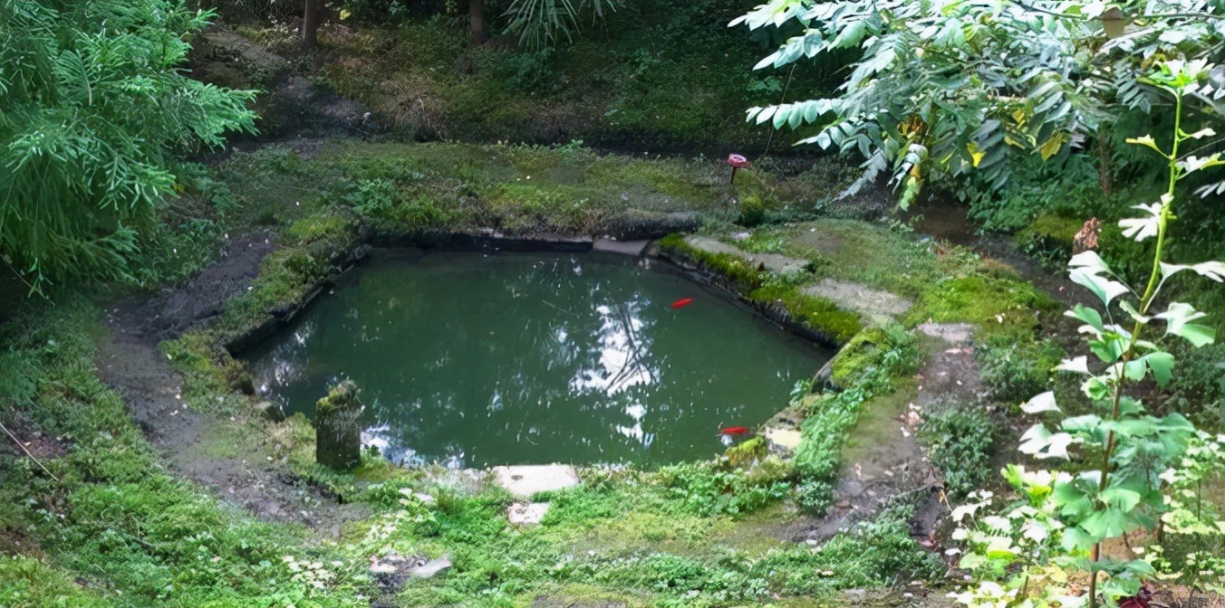 1.5h刹拢！被誉为川版“花城”，这个宝藏好耍地美得不像话