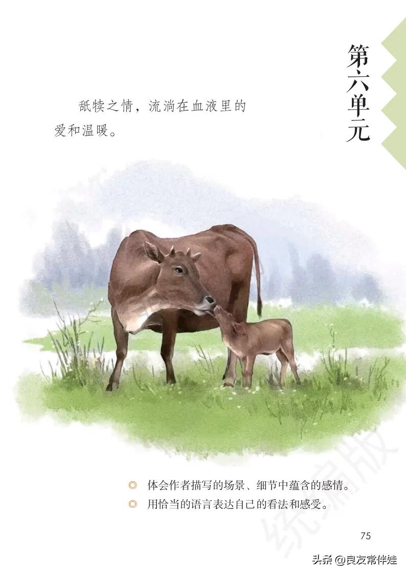 五年级上册语文电子课本,五年级上册语文教材分析