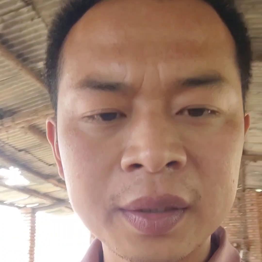 在山上养羊赚钱吗,养羊最赚钱的行业