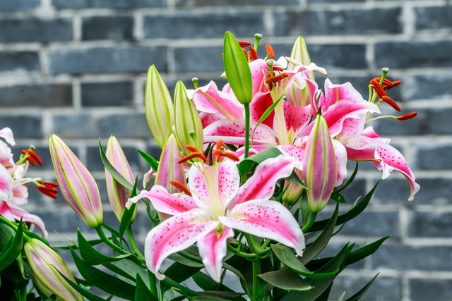 45岁离婚该何去何从,45岁想离婚是什么心态