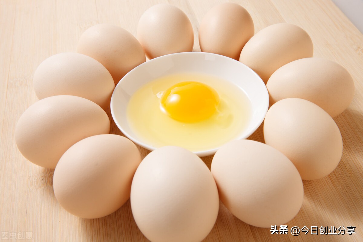 创业致富记,创业记如何变现