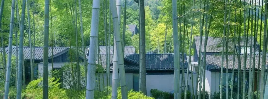 云雾缭绕人间仙境富春山居图,富春山居图旅游