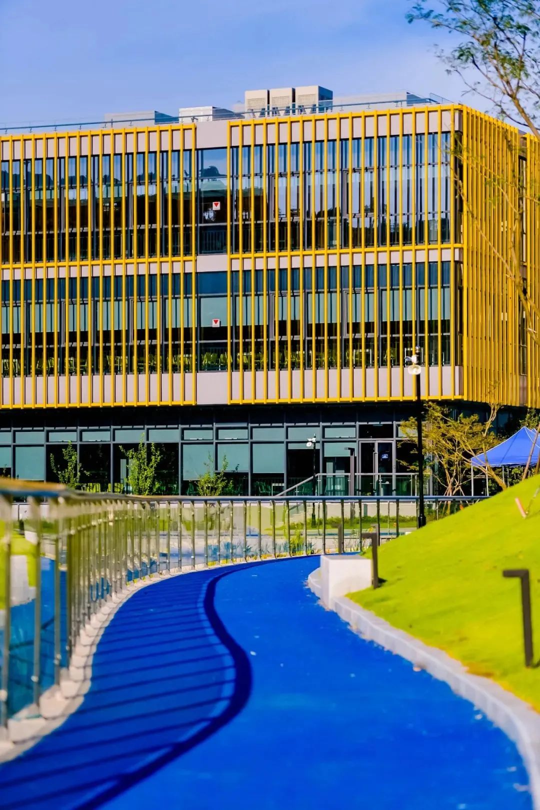 杭州最好的国际学校排名,杭州市十大国际学校