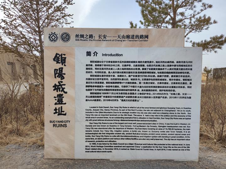 为什么来到敦煌,在敦煌旅游的真实感受