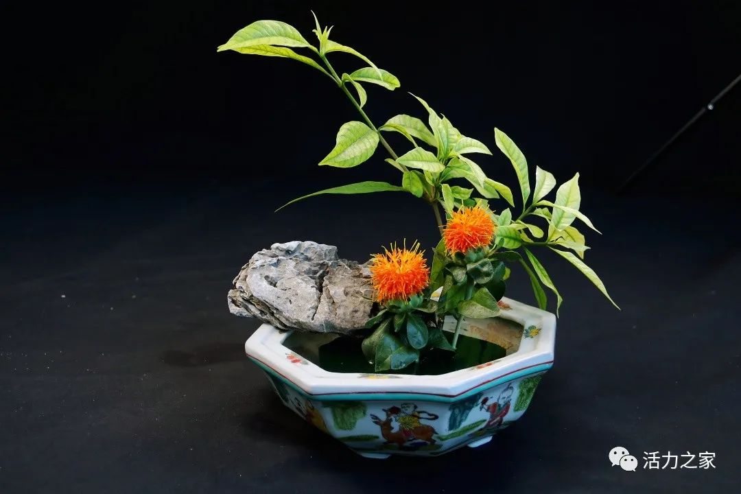 棣欒崏鍛冲啺娣囨穻鐖辩殑榄斿姏,棣欒崏鍛冲啺娣囨穻灏忚鍏嶈垂鍏ㄦ枃闃呰