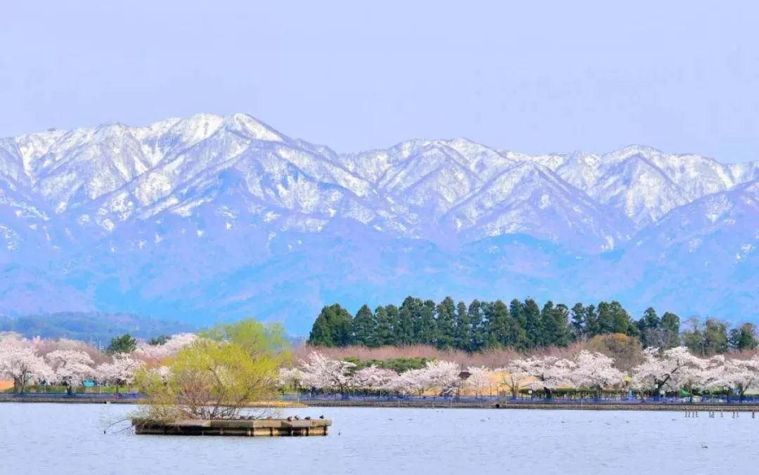 日本的冬天太漫长了,日本的冬天富士山