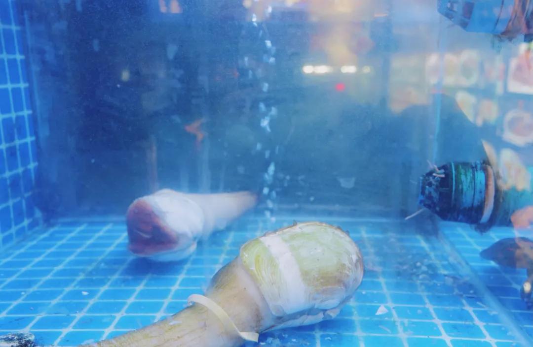 浙江每个县的特色美食,浙江主要的美食