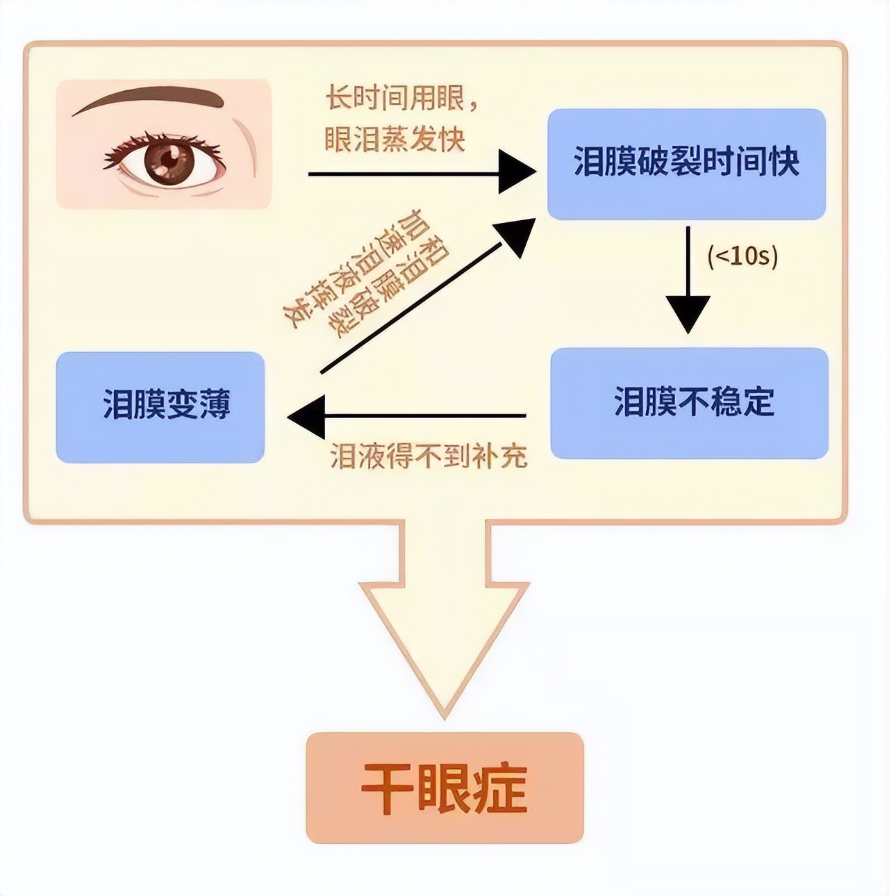 视百年眼科丨有视疲劳的人一定是干眼吗？视疲劳会导致干眼症吗？