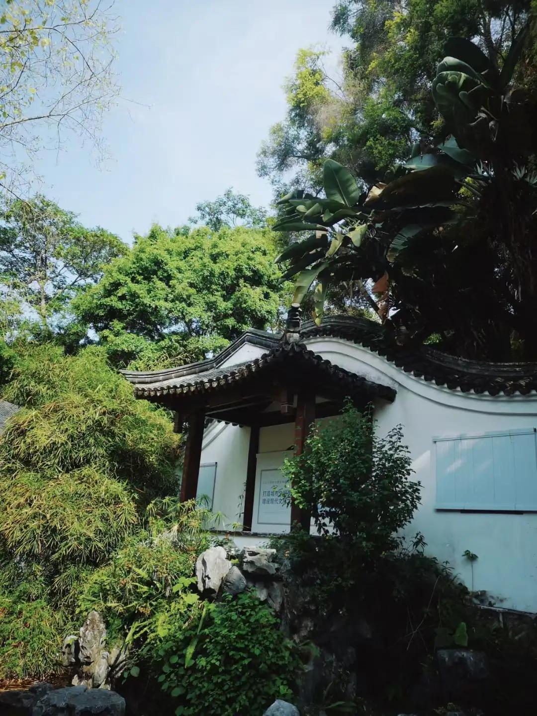 黄梅戏游园惊梦牡丹亭寻梦,寻梦牡丹亭游园惊梦