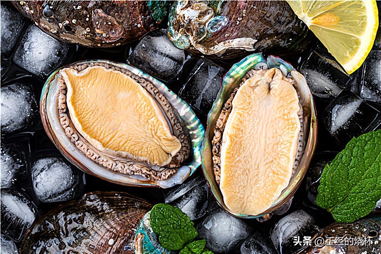 鲍鱼分布在哪里,鲍鱼由哪些部分组成的