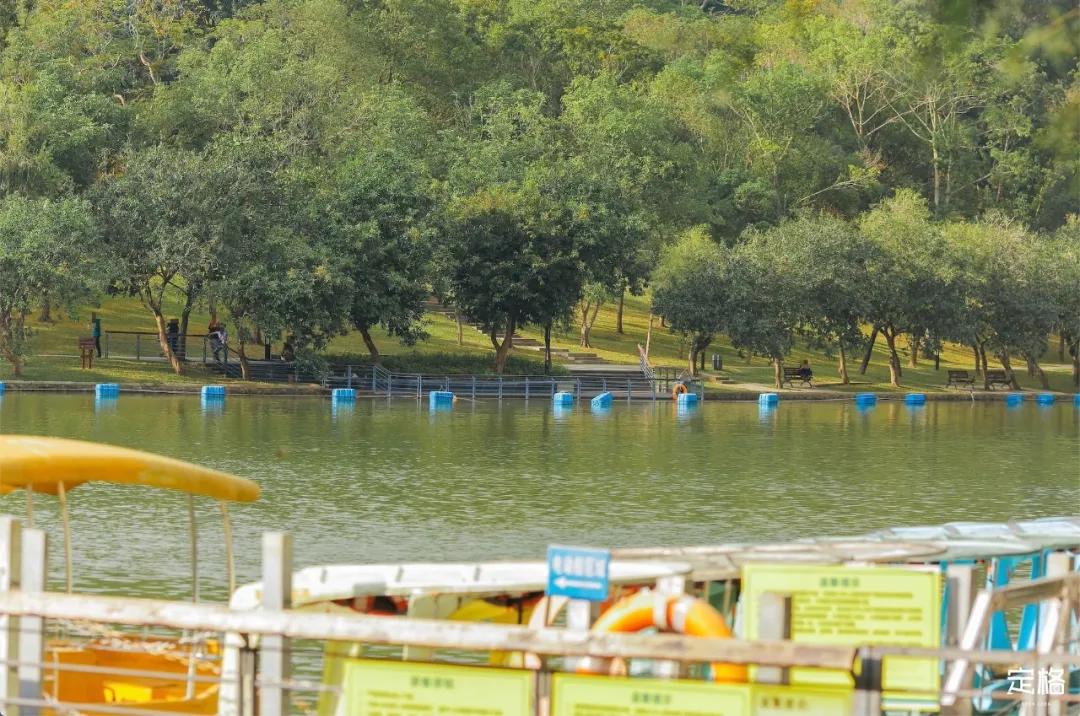 深圳最值得爬的景点,深圳十大最值得爬的山