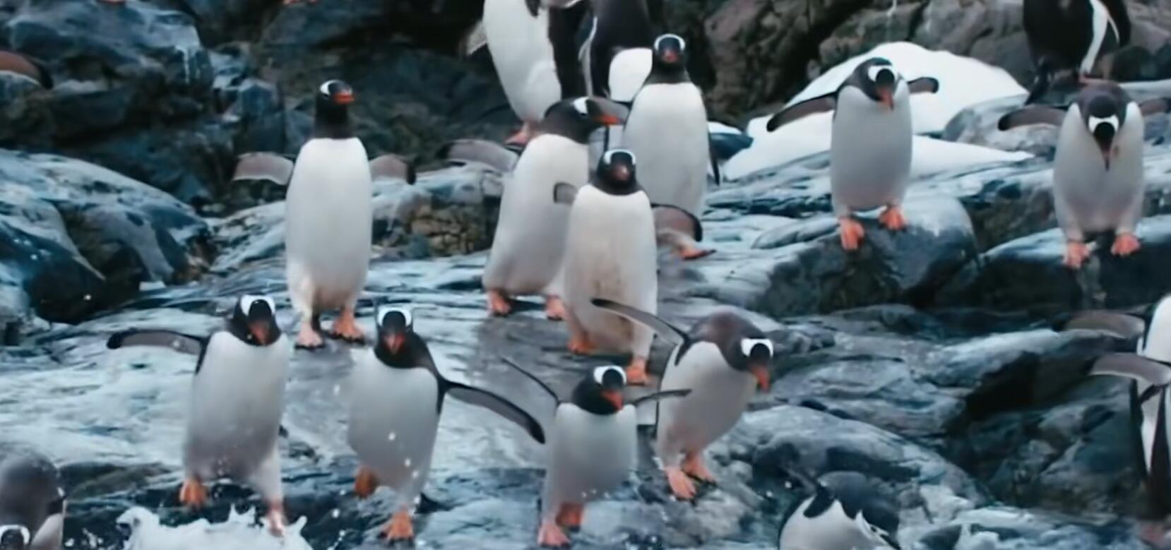 看阿根廷,去看看阿根廷的大城市