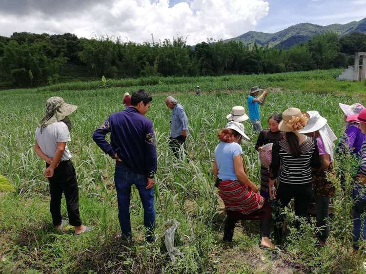 河南省不明飞行物坠落,河南不明飞行物坠落位置