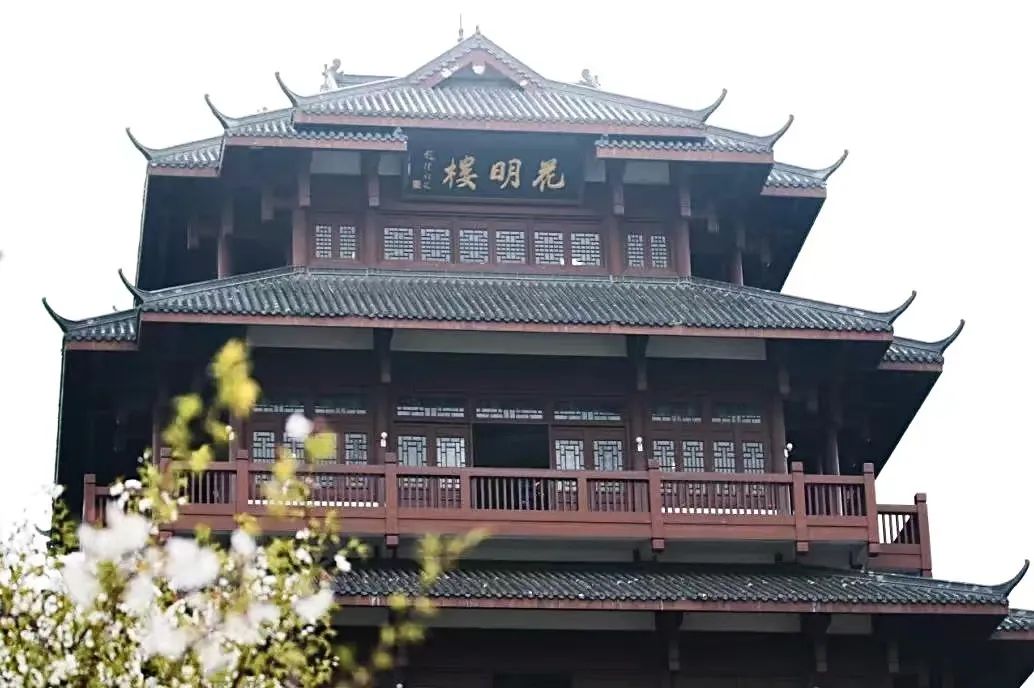 樱花季日本小众赏樱,樱花季全球赏樱胜地盘点