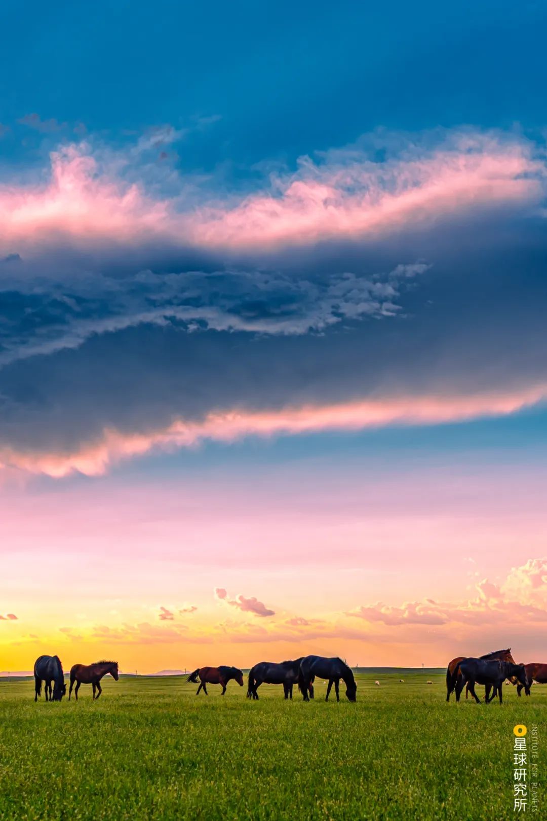 什么鬼城市,煤炭鬼城