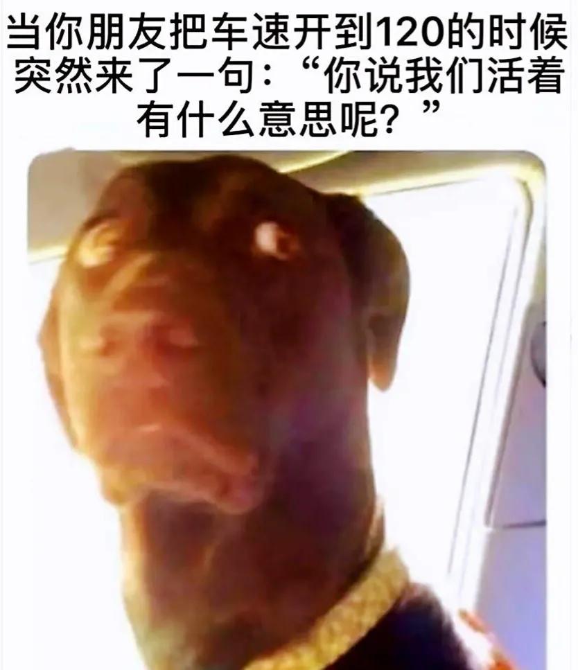 好奇神回复,神回复女生的特点