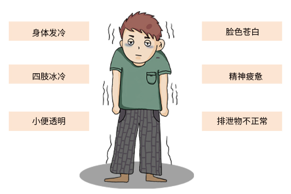 枸杞能降血糖么,枸杞对降血糖有帮助吗