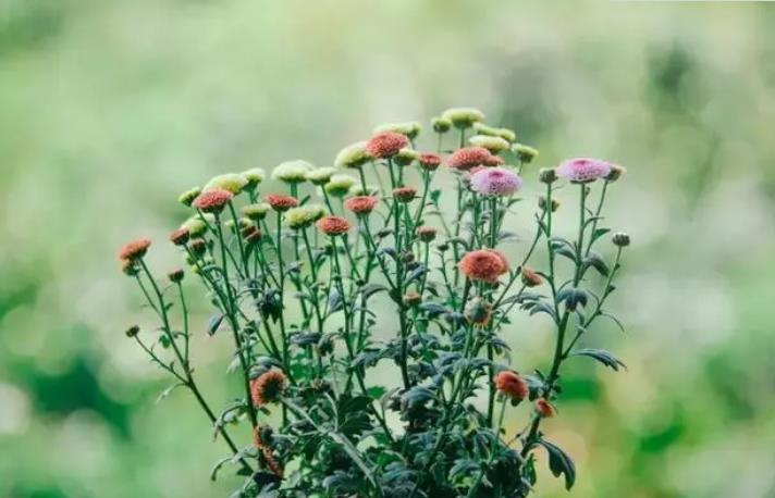 穷人要记住这三点才不会穷,穷人如果想发财必须要做这几件事