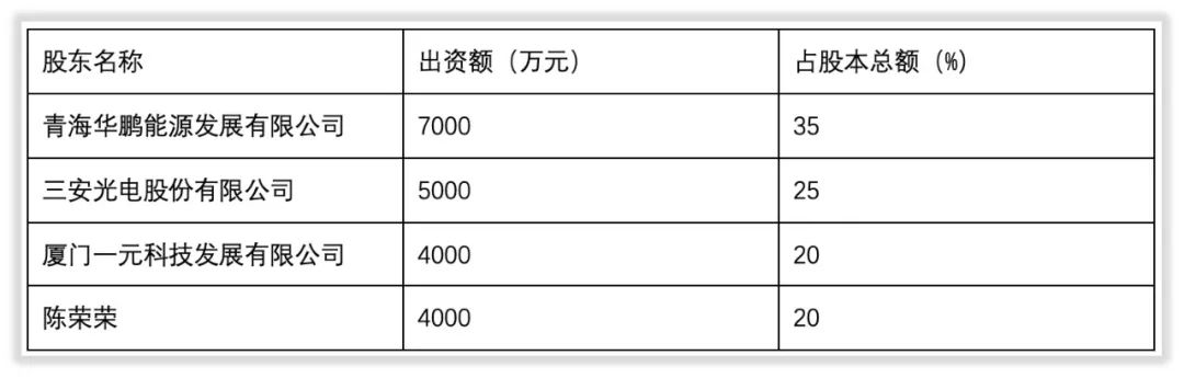 三安光电成就,三安光电林志强