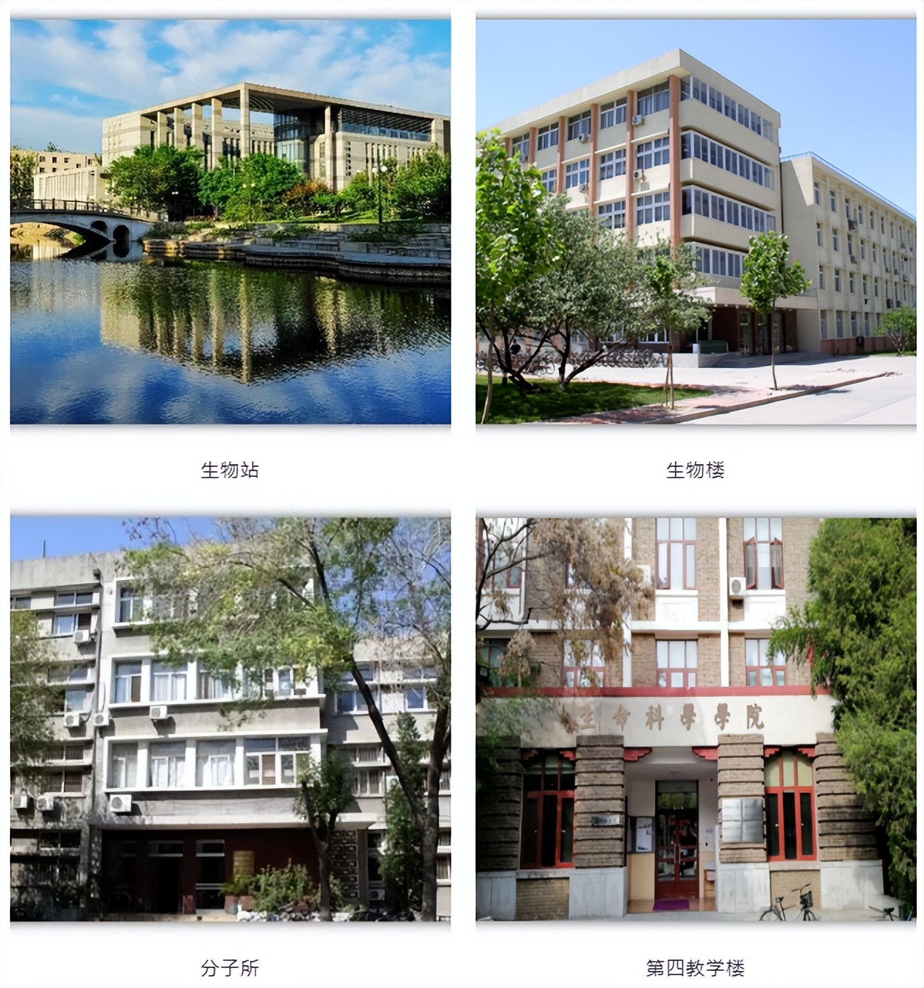 南开天大最强学科,南开大学整体数学实力