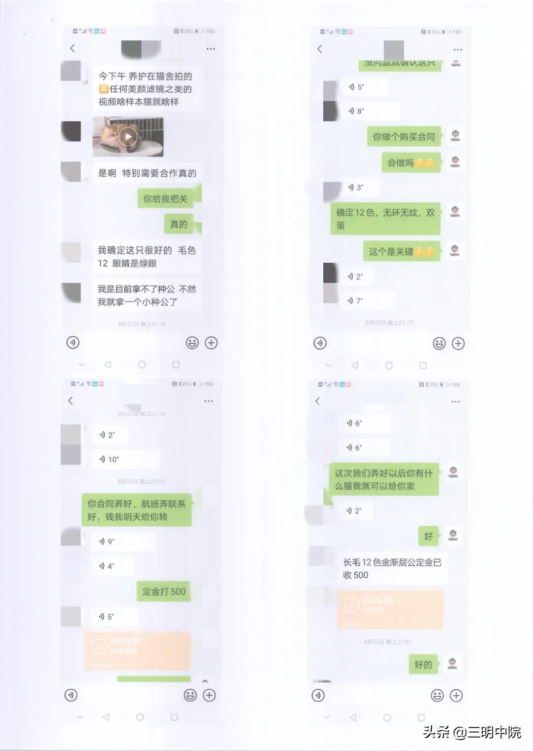 花金渐层的钱买了橘猫,花一万买金渐层