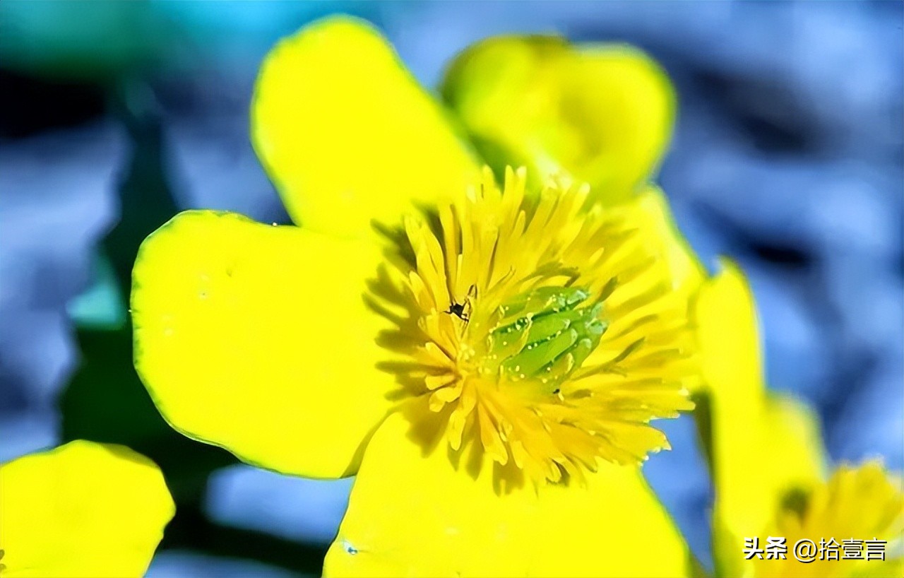 越是心穷的人越有这几个习惯,如何观察一个人是真穷还是假穷