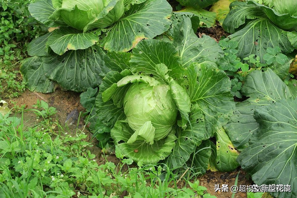 保护视力的健康生活小常识,保护视力的七大注意事项