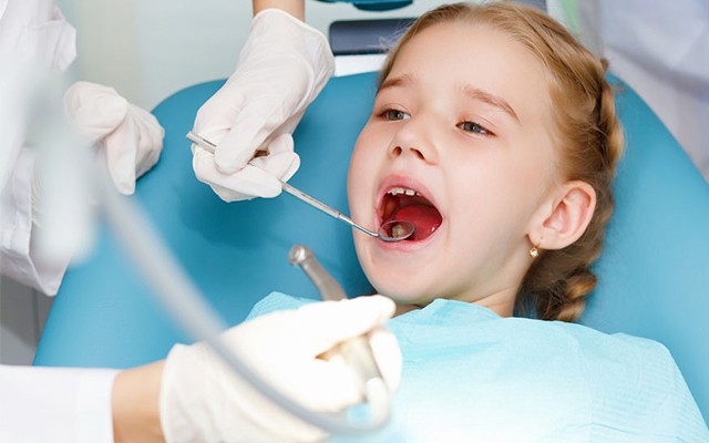 豫健科普产品分析报告,豫健科普基本信息