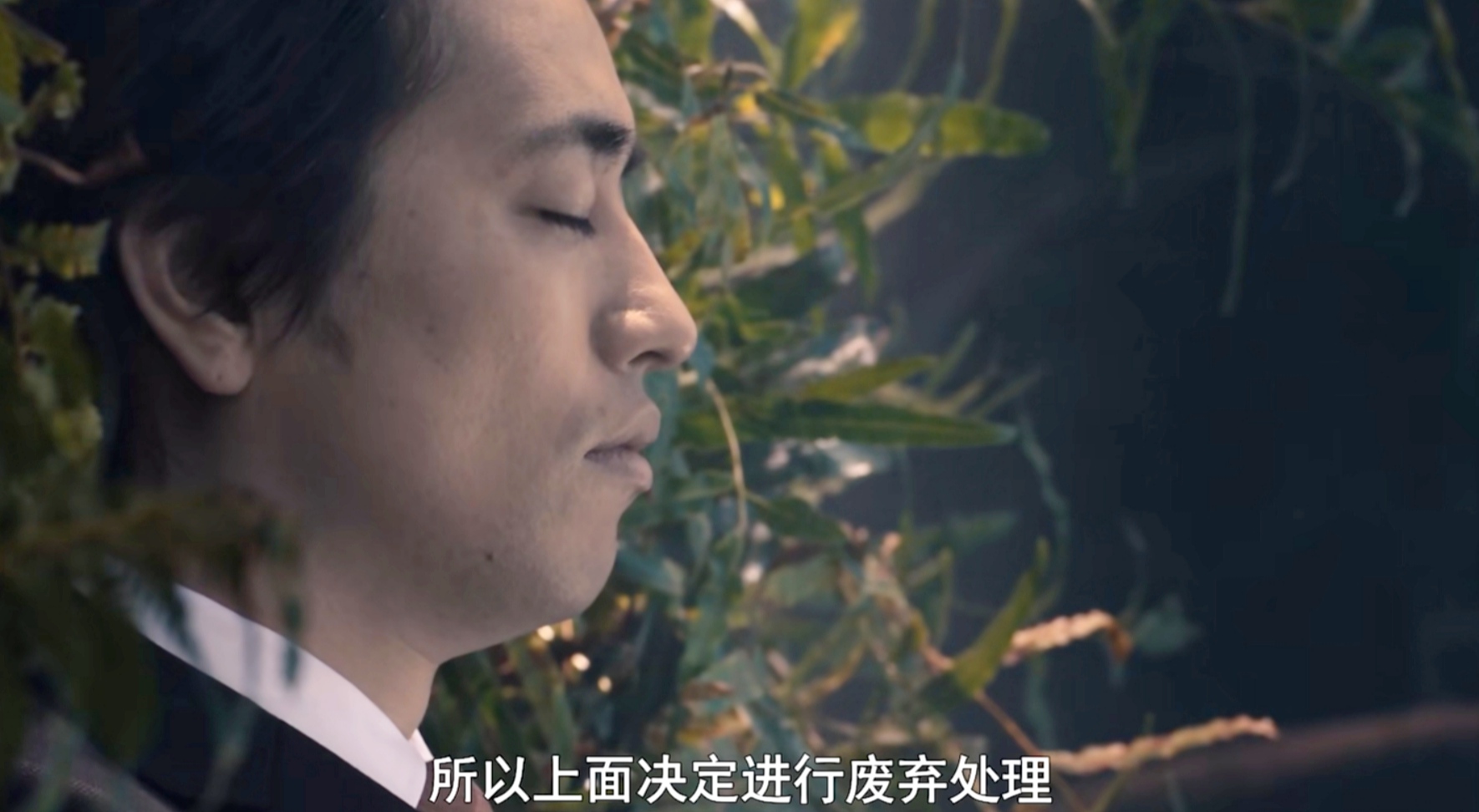 新奥特曼崛起,官方推出的新奥特曼