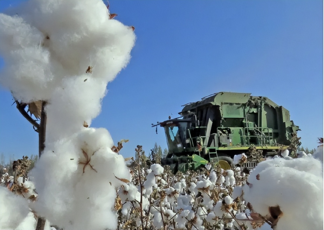 “*疆新**棉事件”不能承受之重，HM中国首店关门，开业时曾排队