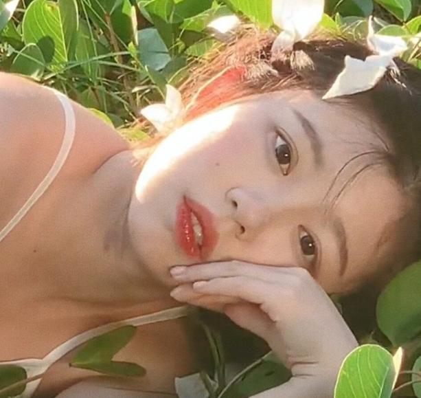 个人说说文案干净温柔,温柔的文案句干净治愈