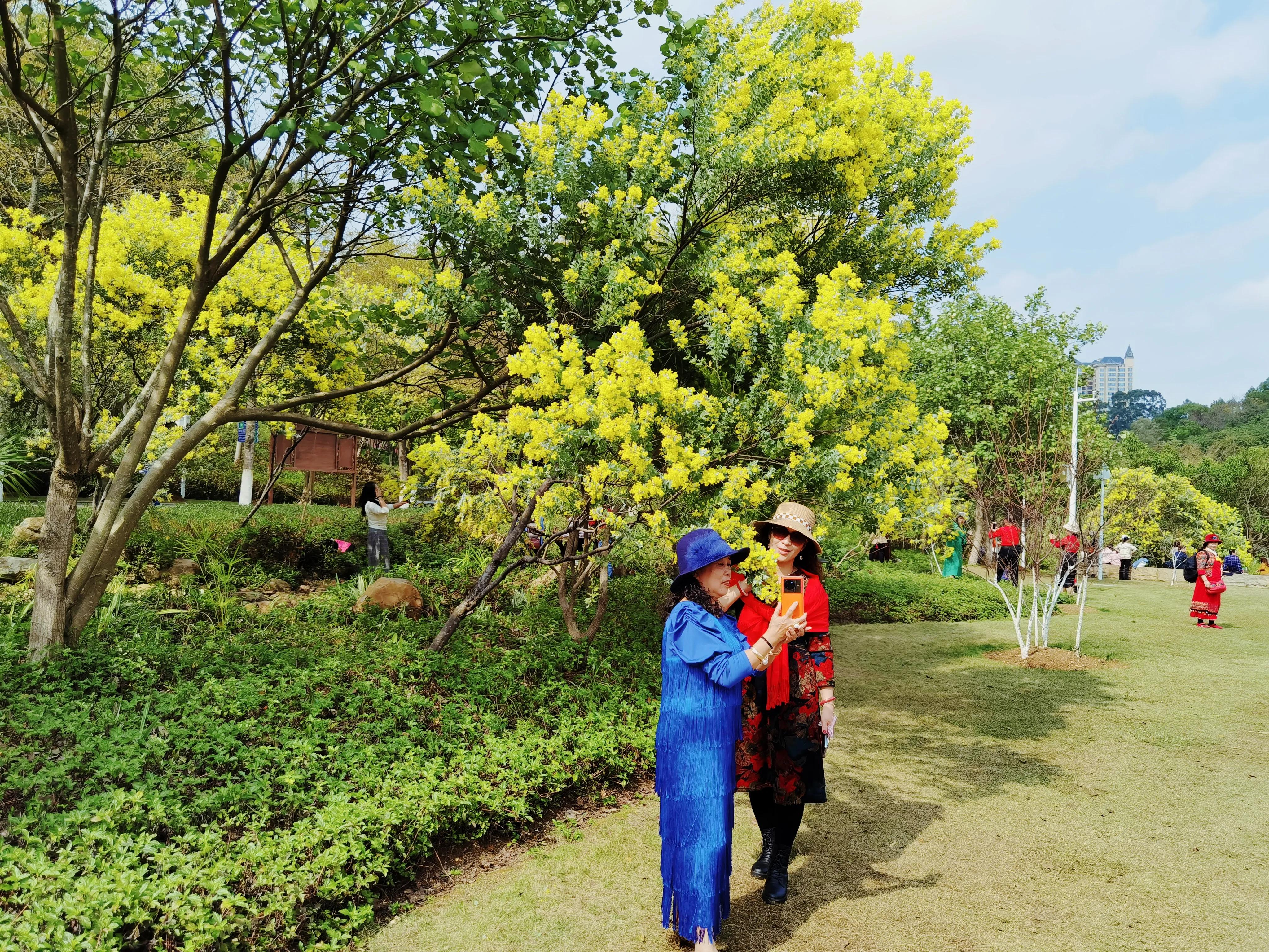 南宁是一个什么样的城市,南宁是个什么样的城市