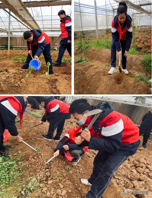 宜昌五中学校,五中教育实践活动