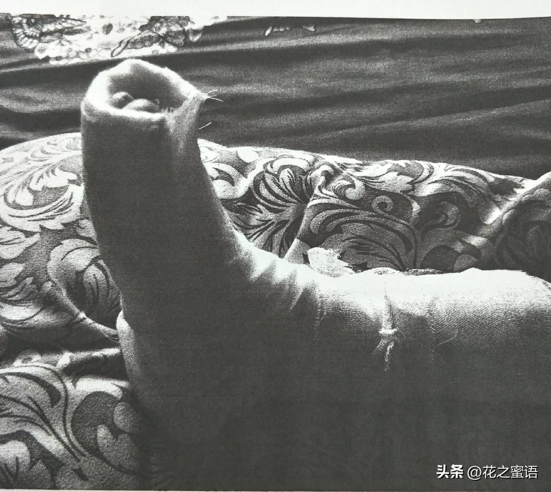 孩子在学校厕所摔骨折了怎么处理,小孩子在学校头被砸了怎么处理