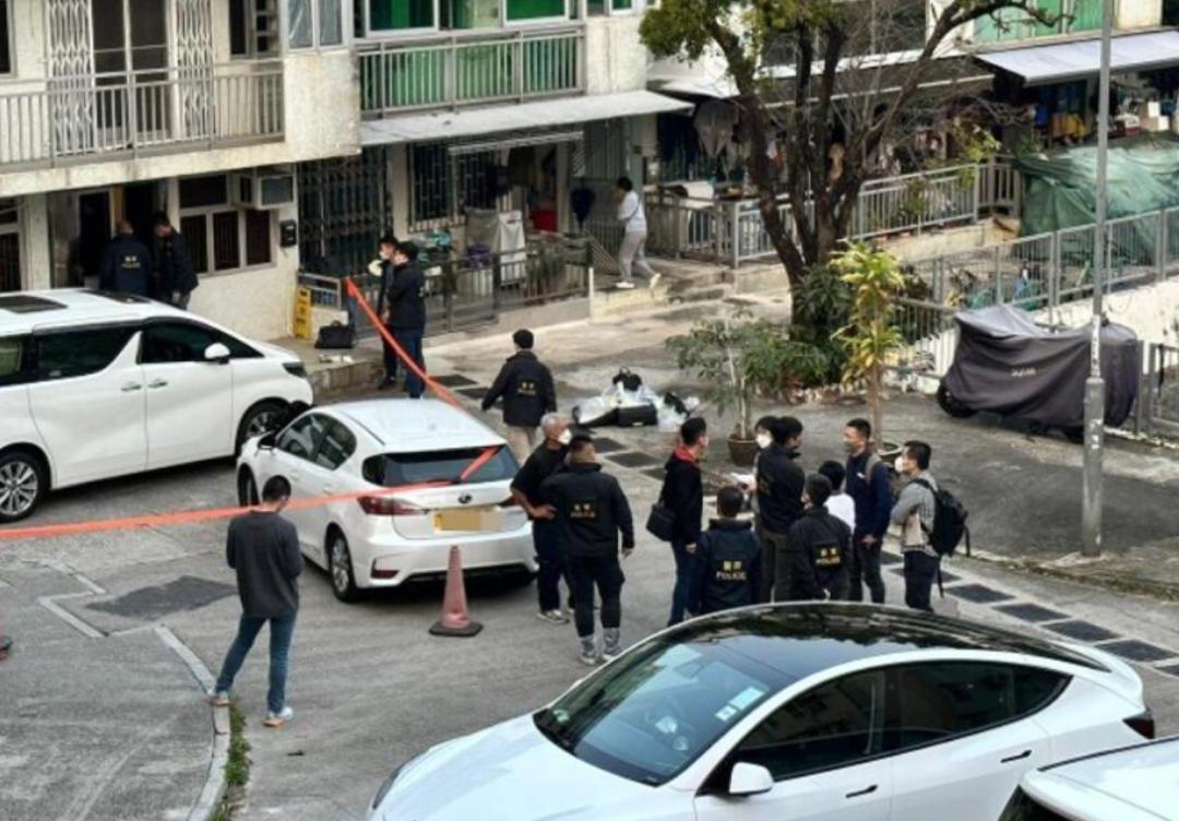 香港名媛碎尸案杀人动机,香港名媛碎尸案案件详情