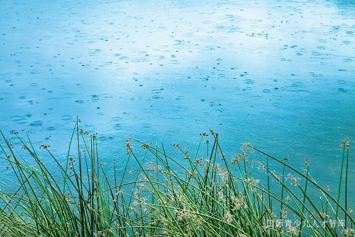 国际中文日谷雨,谷雨节气和联合国语言日