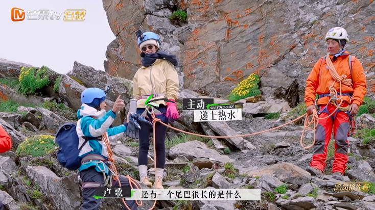 苏诗丁和卢歌再见爱人结局,再见爱人2苏诗丁和卢歌复合了吗