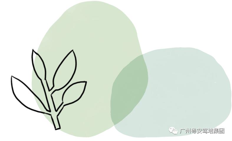 广州市粤安驾校怎么样,广州粤安驾校白云优惠团购