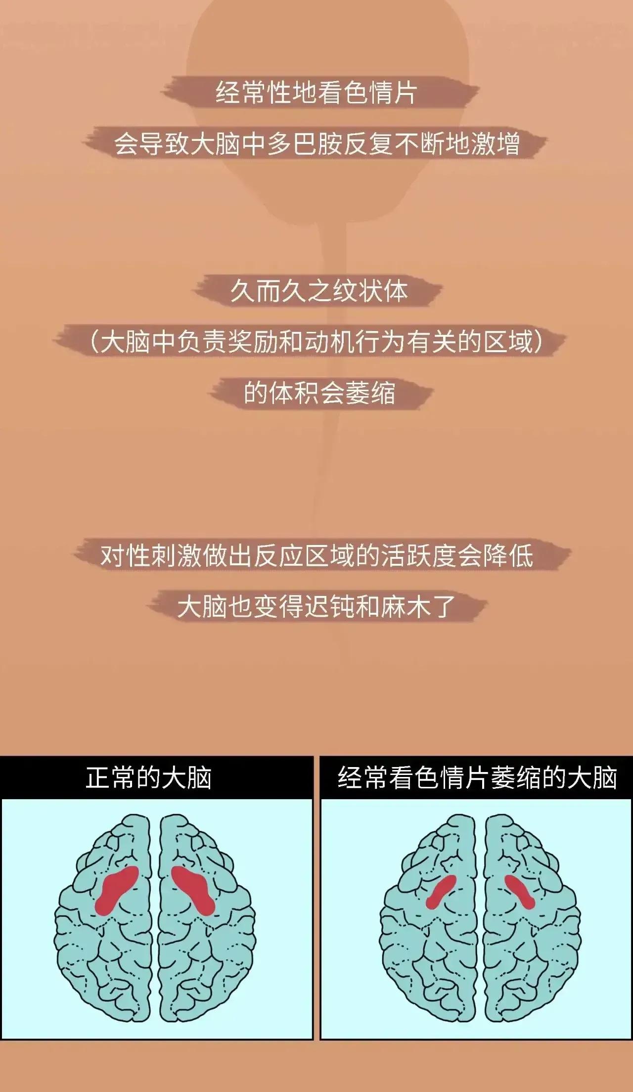 观看色情片的危害，朋友们，回头是岸呐！（漫画）