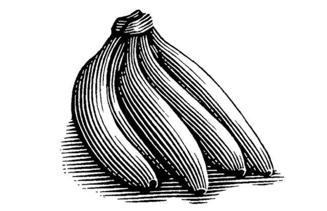 ai绘制插画人物教程,ai版画风格插画教程基础