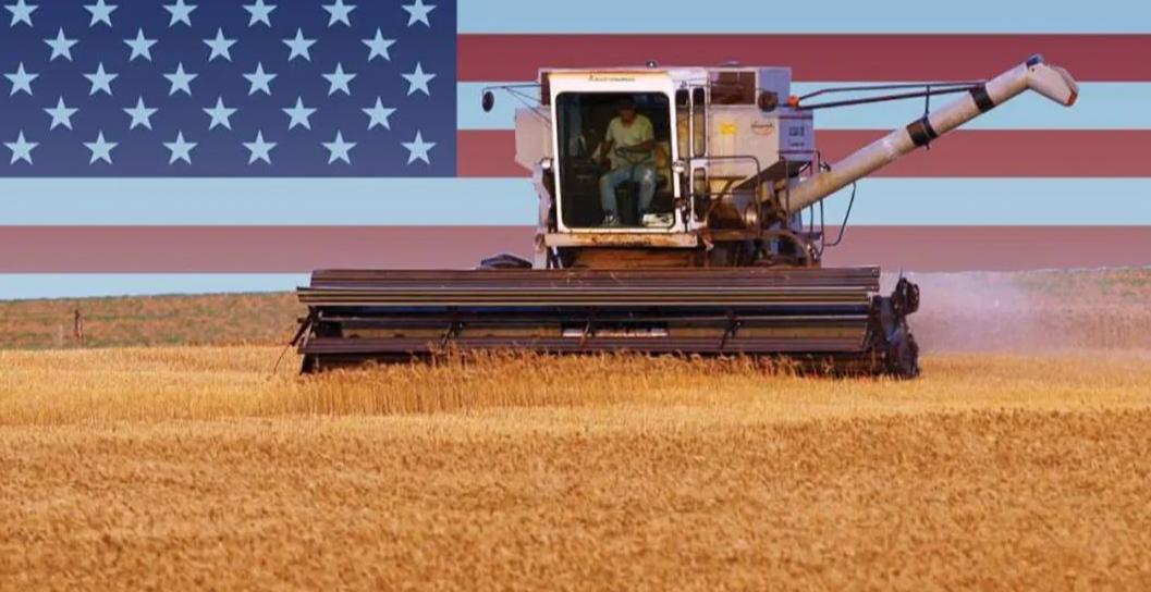 老美出口粮食视频,老美粮食计划