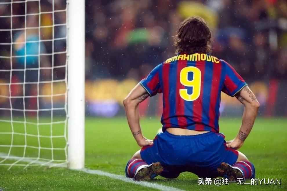 伊布最强一战,伊布战争